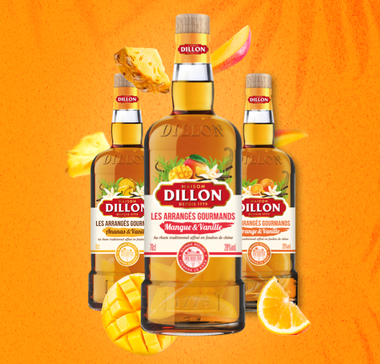 Maison Dillon